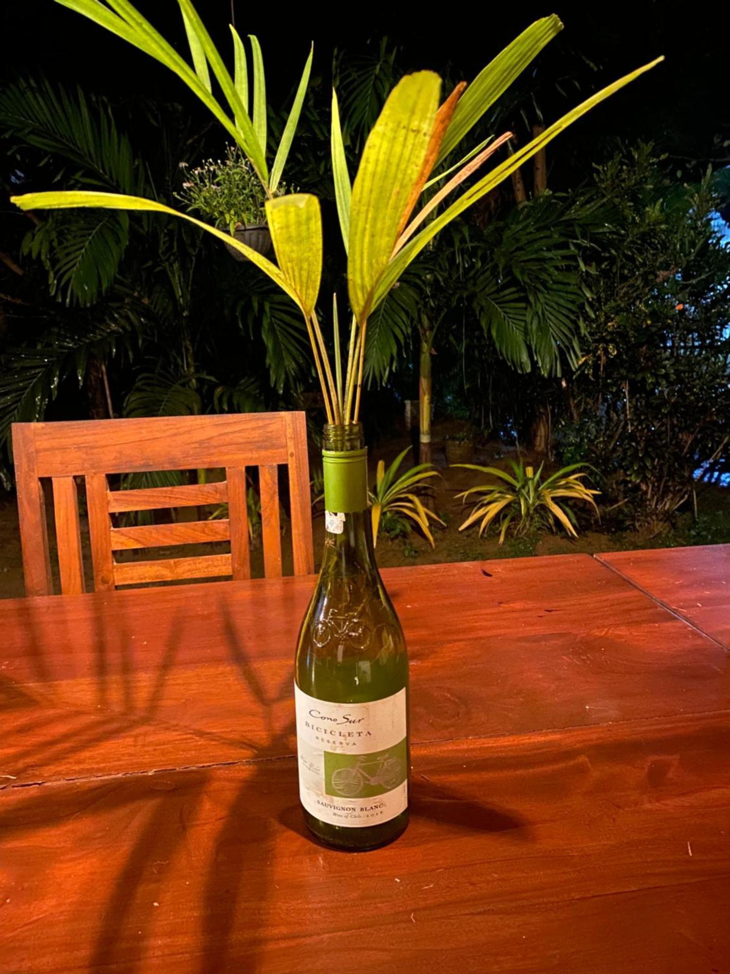 Talalla Ocean Beach Bungalow マータラ エクステリア 写真
